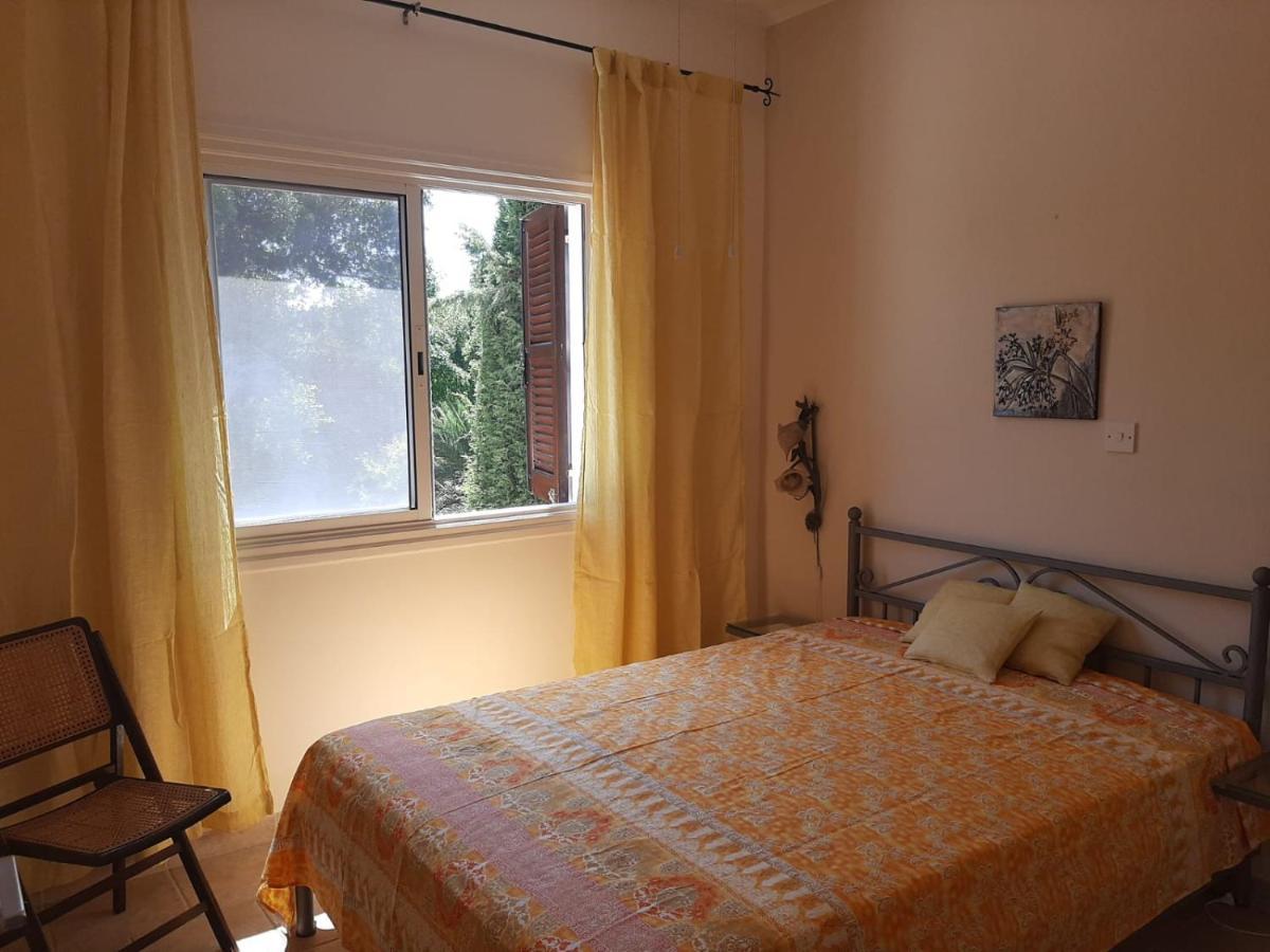 Limnaria Deluxe Maisonette 파포스 외부 사진